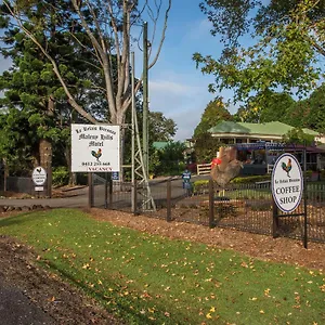 maleny-hills-motel.queenslandhotels.net/